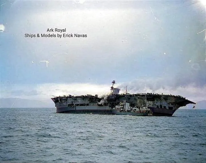 MS Ark Royal.webp