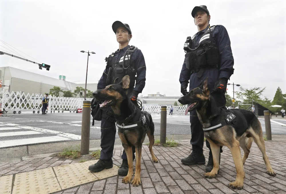 n-policedog-a-20190628.webp