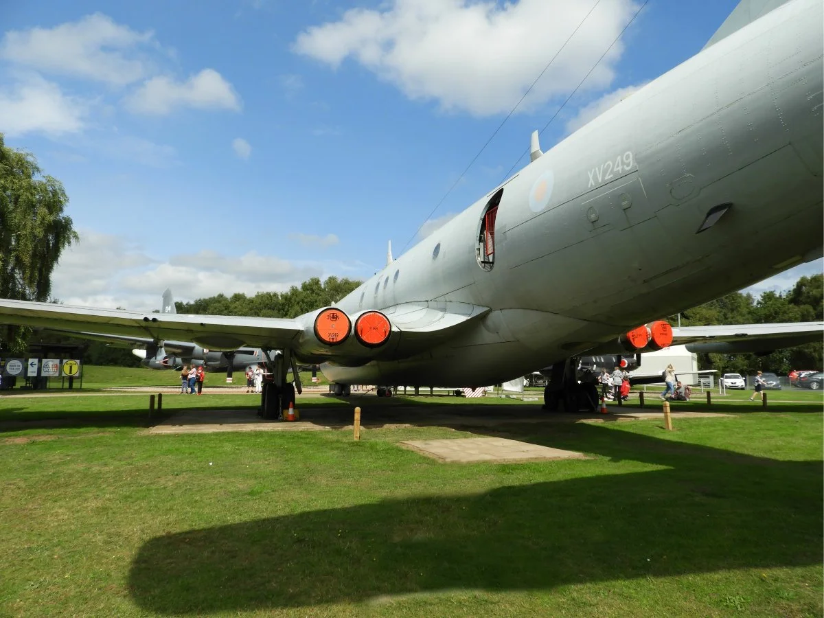 nimrod tail 2.webp