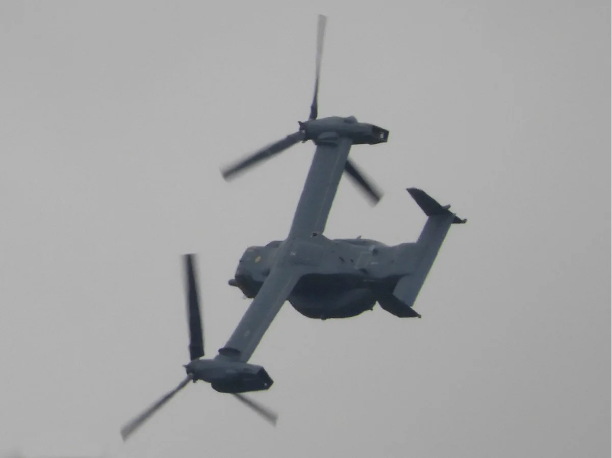 Osprey 1.webp