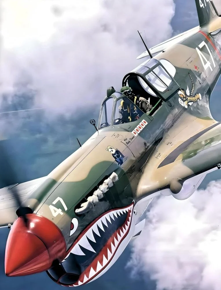 P-40 Warhawk4.webp