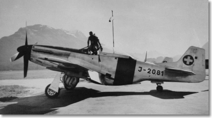 P-51D_001.webp