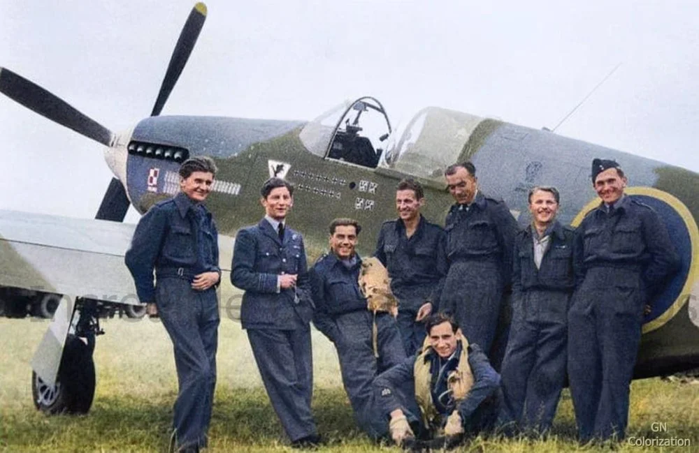 Pilots of Polish 315 Sqn RAF and Mustang, 194.webp