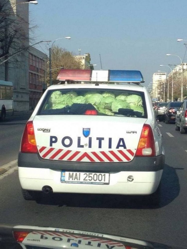 Romanian police.jpg