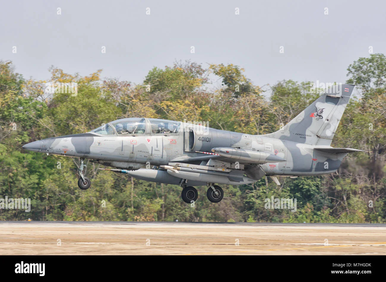 royal-thai-air-force-l-39-albatros-m7hgdk.webp