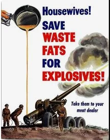 save fats.webp