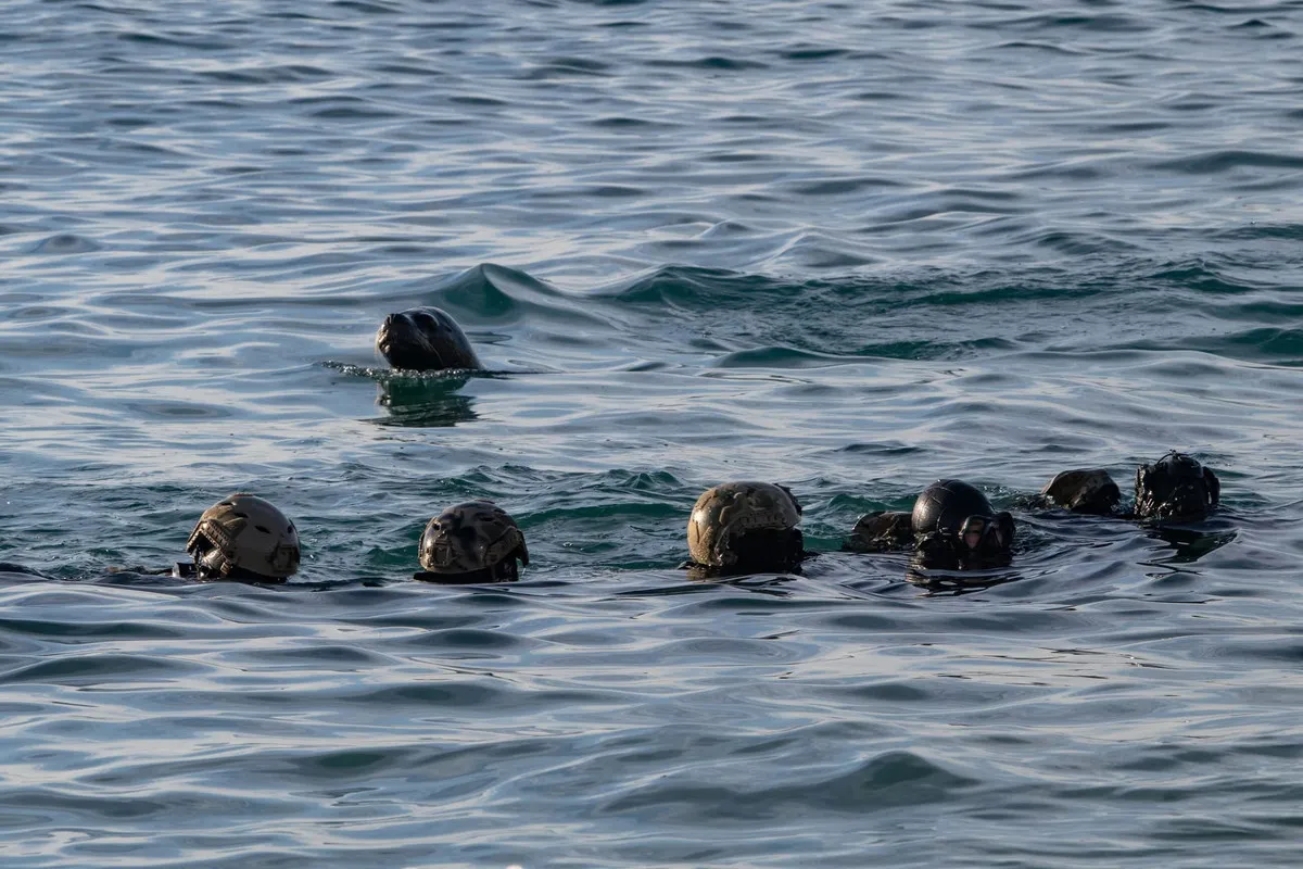 SEALS-CHILE-2025-A-2.webp