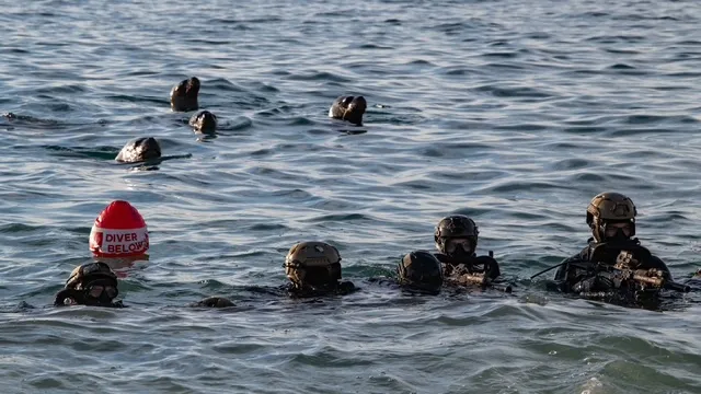 SEALS-SOUTHERN-STAR25-1.webp
