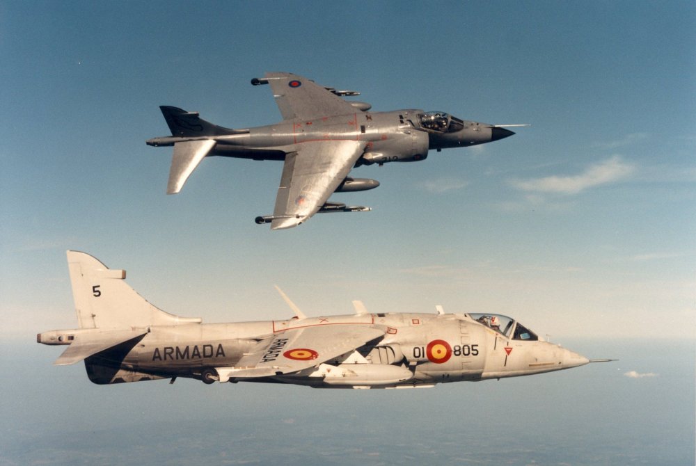 Spanish Navy AV-8S (01-805) & Royal Navy Sea Harrier FRS.1 inflight.jpg