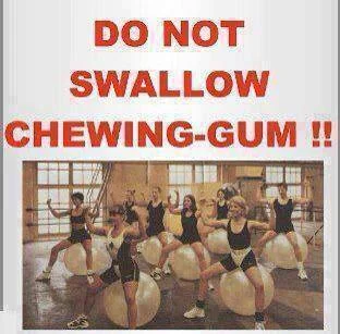 swallow chewing gum.webp