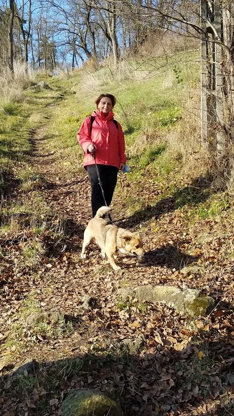 The good lady and hound.webp