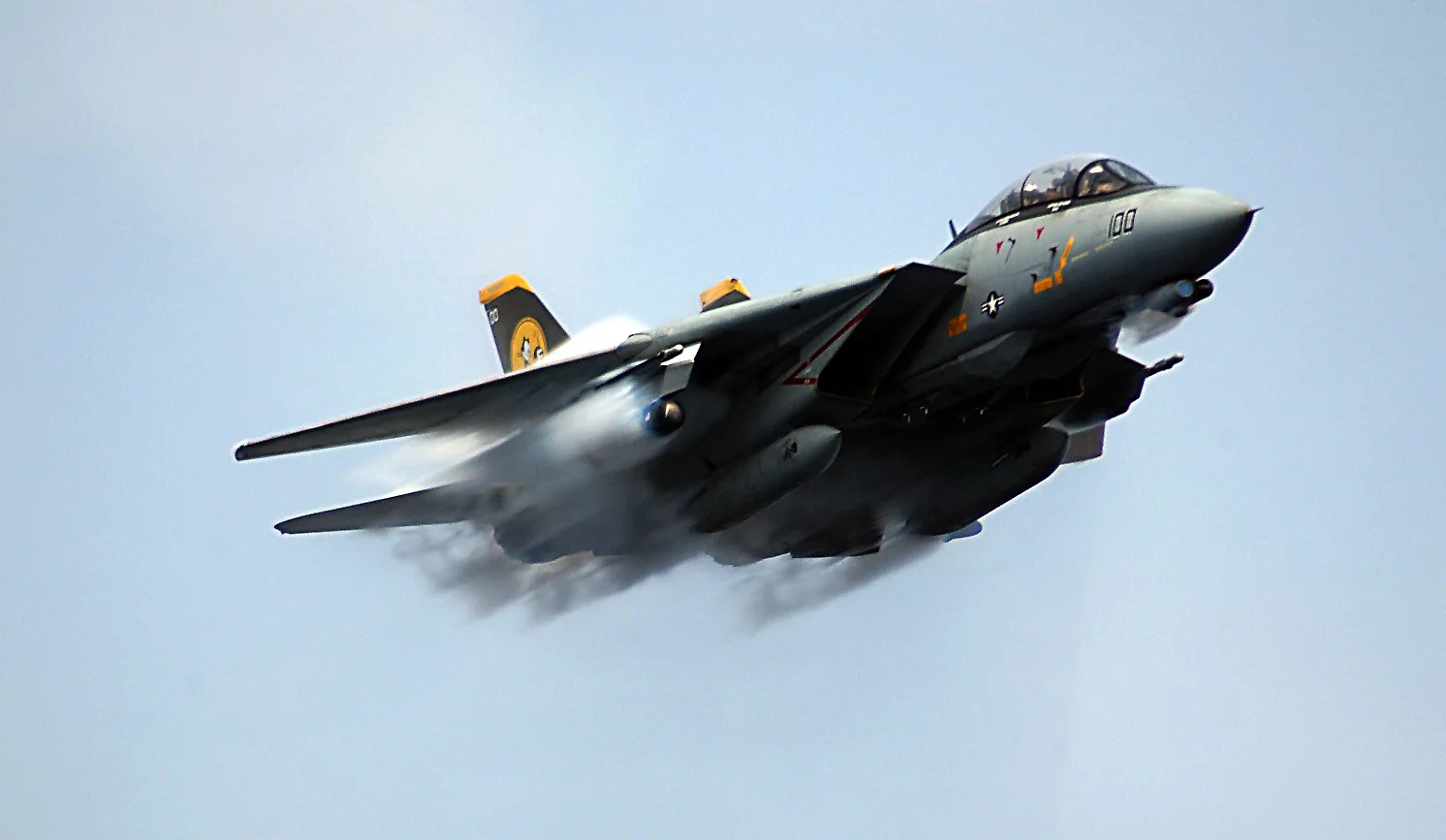 TomCats - 035.webp