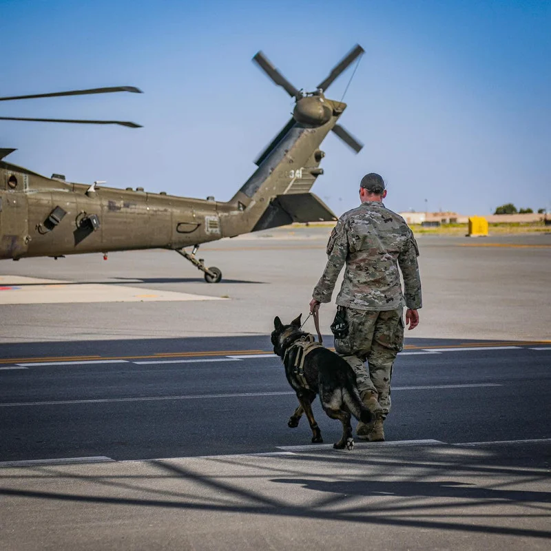 US-ARMY-K9-IMG-9918-2.webp