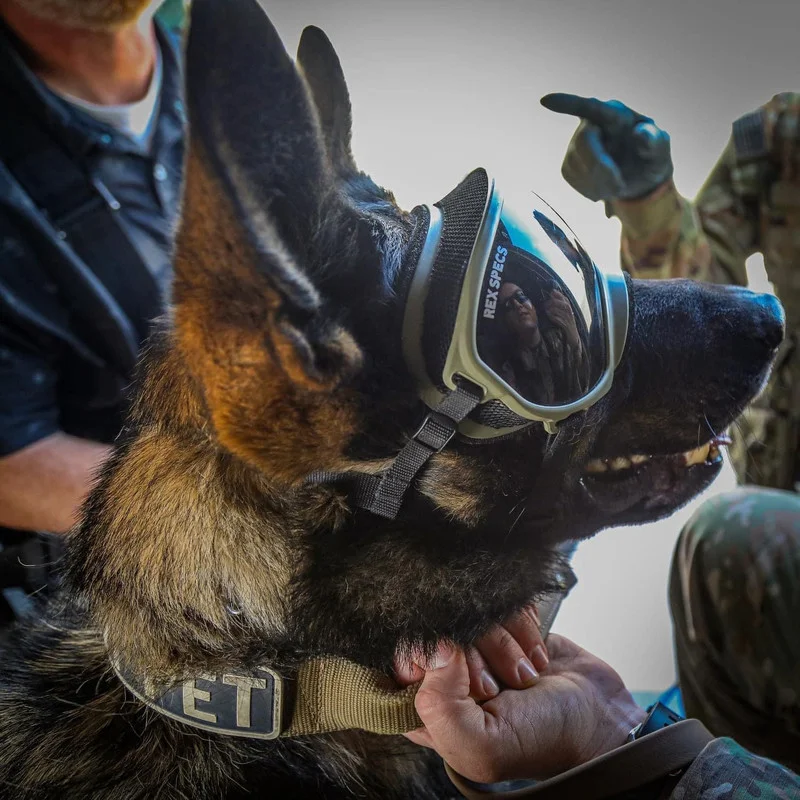 US-ARMY-K9-IMG-9918-5.webp