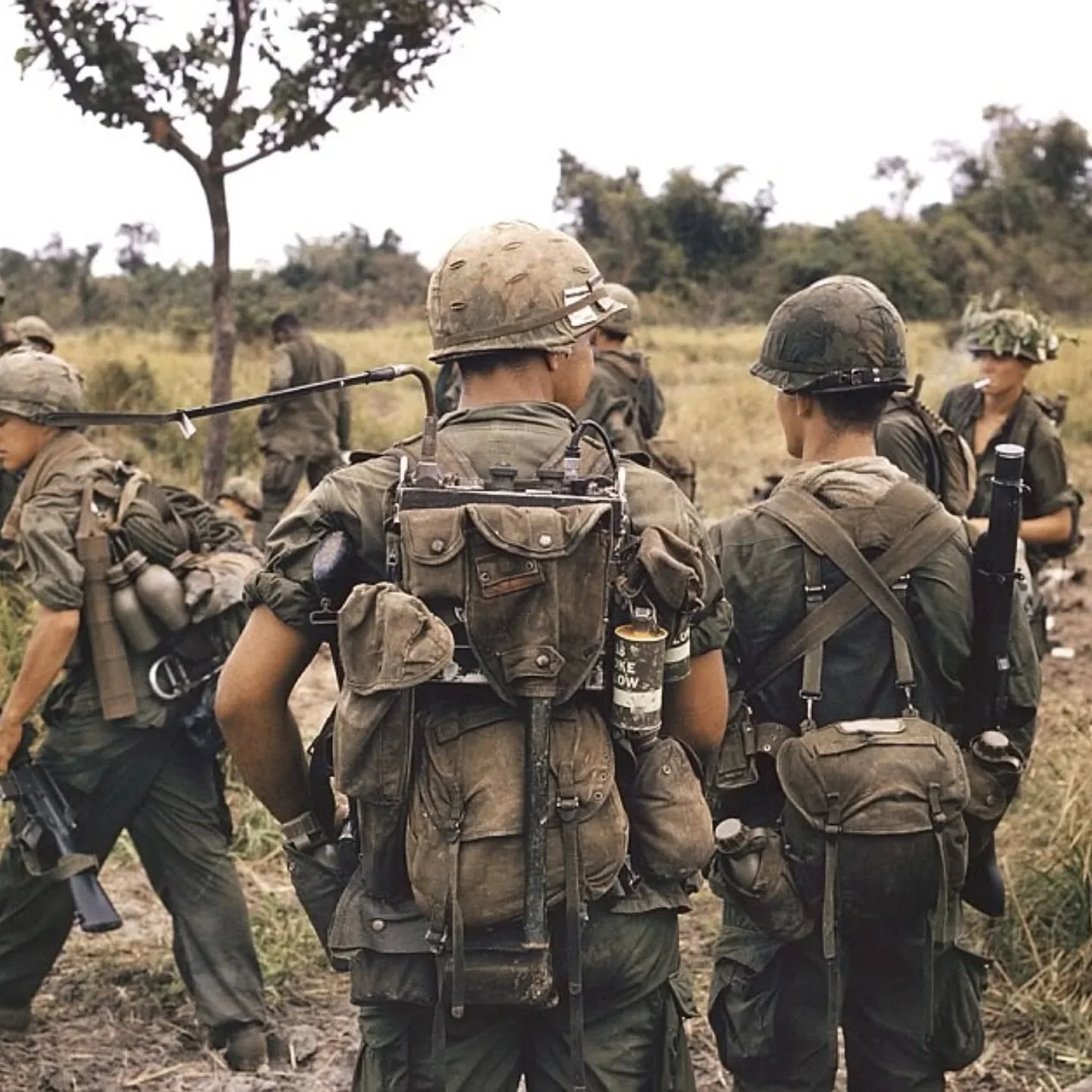 US Army  support base in the field 1968.webp