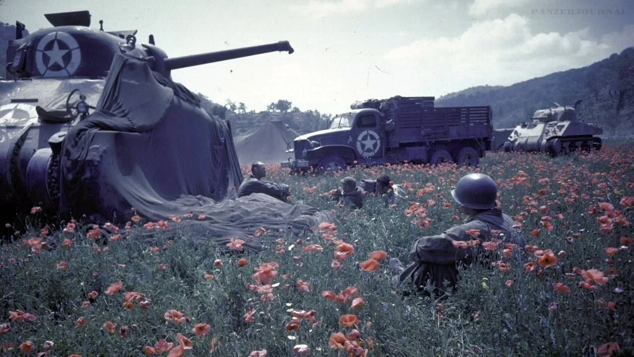 US M4 Shermans and GMC CCKW, Italy, August 1944..webp