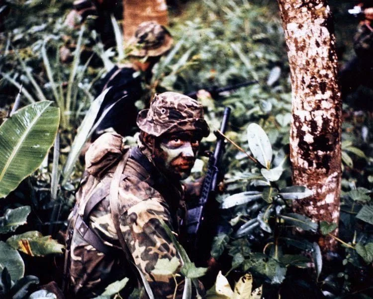 us-navy-seal-platoons-vietnam-jpg.webp