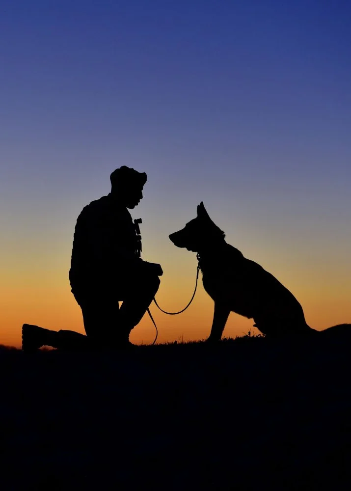 US Senior Airman Nathan White, 11th Security Support Squadron military working dog handler.webp