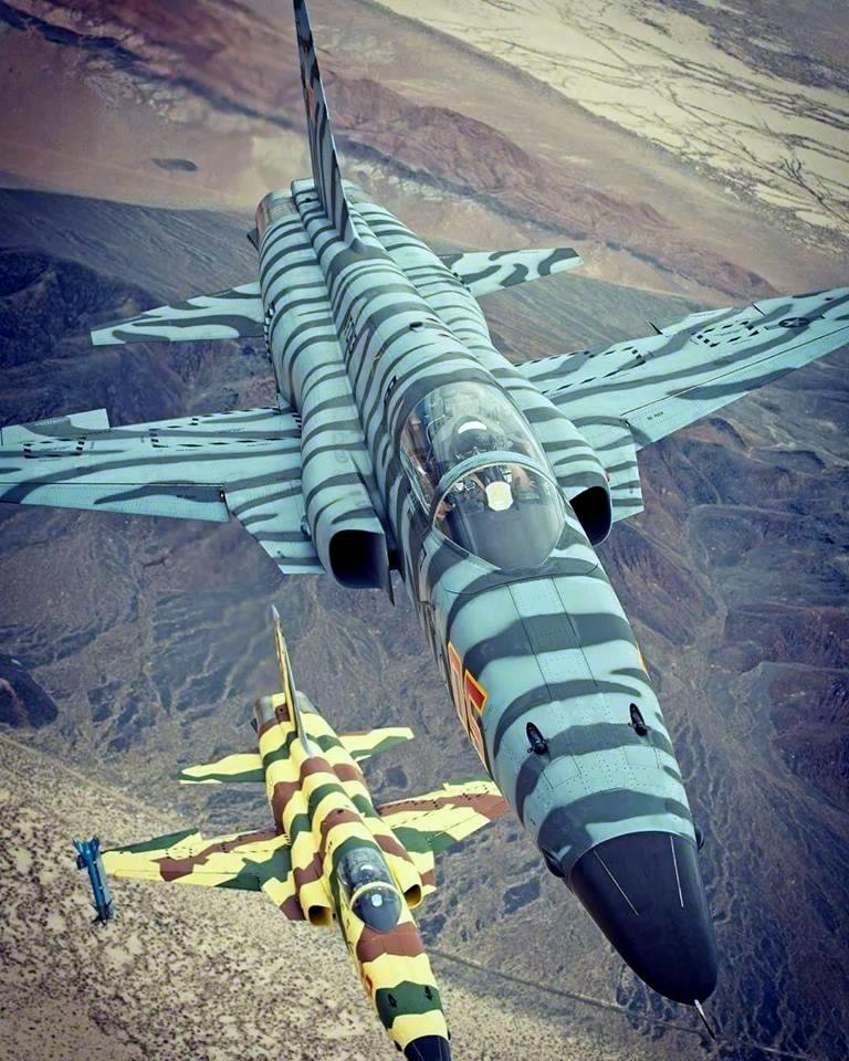USAF F-5E (05 & ..) inflight.jpg