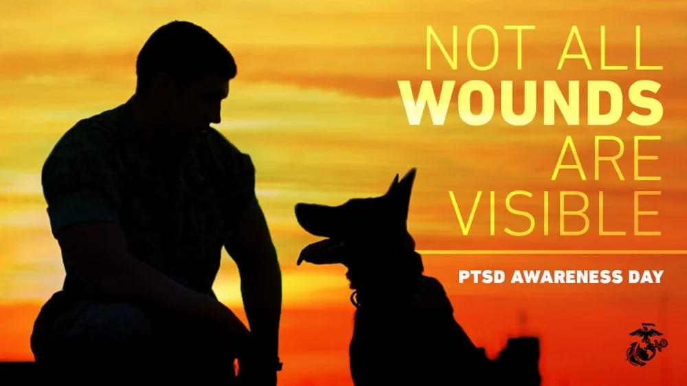 USMC-K9-PTSD.webp