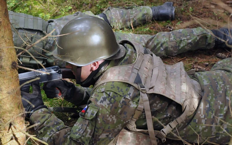 Vz.53_helmet_used_in_Slovak_army_training.webp