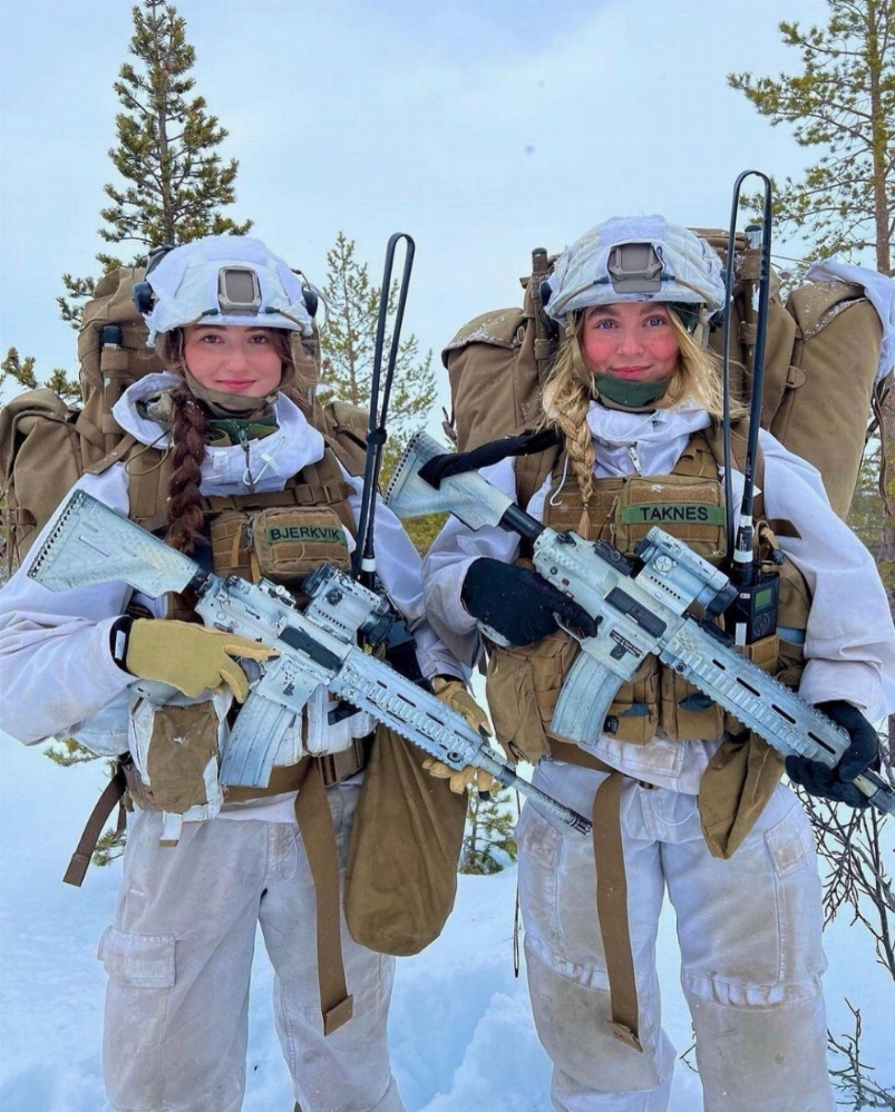 вооруженные силы норвегии