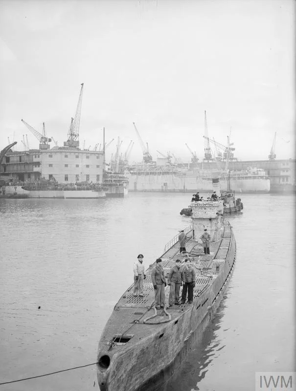 ypz6t97ksqd71.jpg