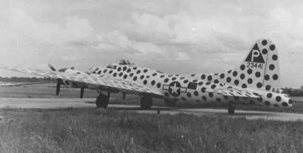 B17-F384thBG-Spotted-Cow.webp