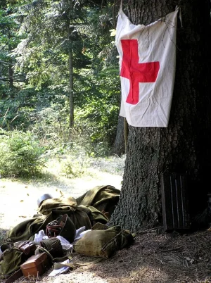 Red Cross.webp