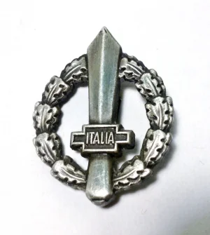 RSI collar badge.webp