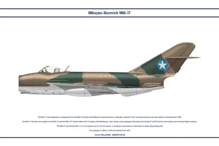 Somali MiG-17 (CC-129).webp