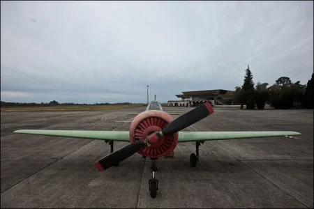 Abkhazian Yak-52 (RA-307) at Babushera - Sukhumi AP (13 December 2009) (3).webp