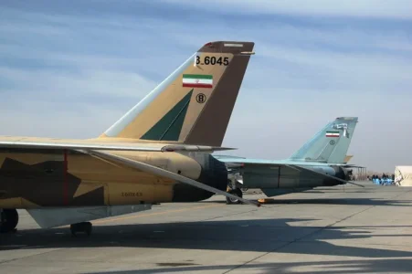 IRIAF F-14A (3-6045) ''Bombcat'' on ground (before 2019) (2).webp