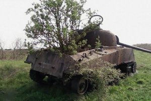 tanks consumed by nature oo4.jpg