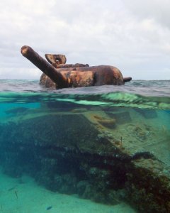 tanks consumed by nature oo5.jpg
