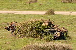 tanks consumed by nature oo8.jpg