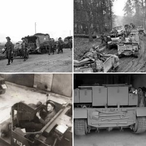 Carriers