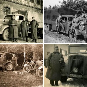 German softskins2