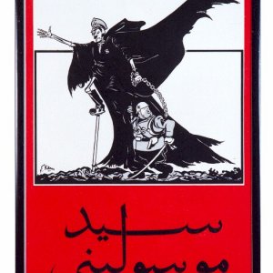 Anti-Nazi poster, written in Arabic