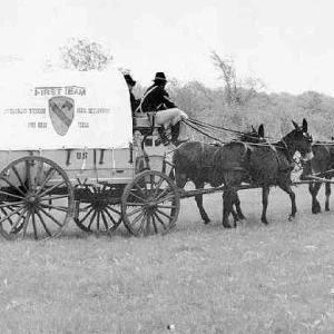 1st Cav Mule Train