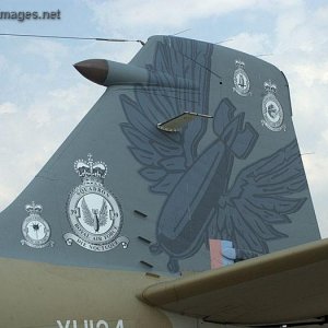 Canberra Tail art