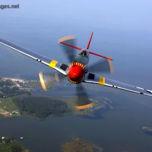 P-51D Mustang