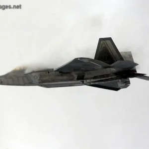 The F-22 Raptor