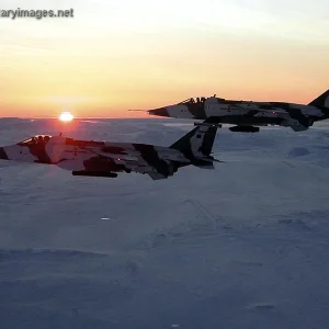 RAF Jaguars