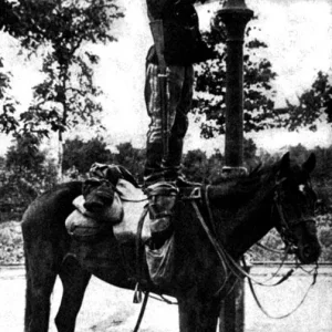 Belgium Army in WW1