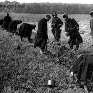 Belgium Army in WW1