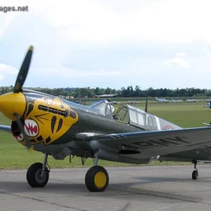 Curtiss P-40 Warhawk