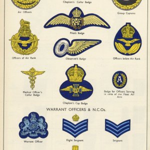 RAF Badges Colour 2