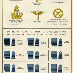 RAF Badges Colour