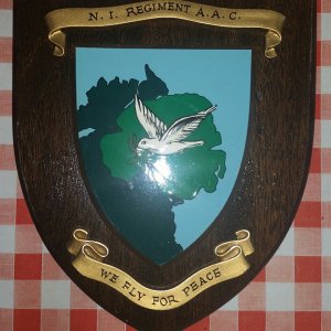 Northern Ireland Regiment Army Air Corps